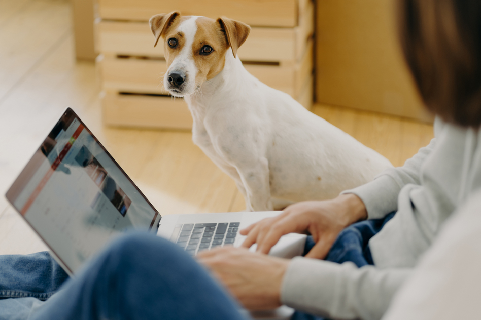 man works on laptop computer
