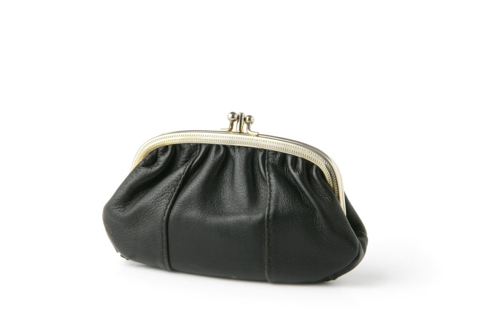 bag or purse